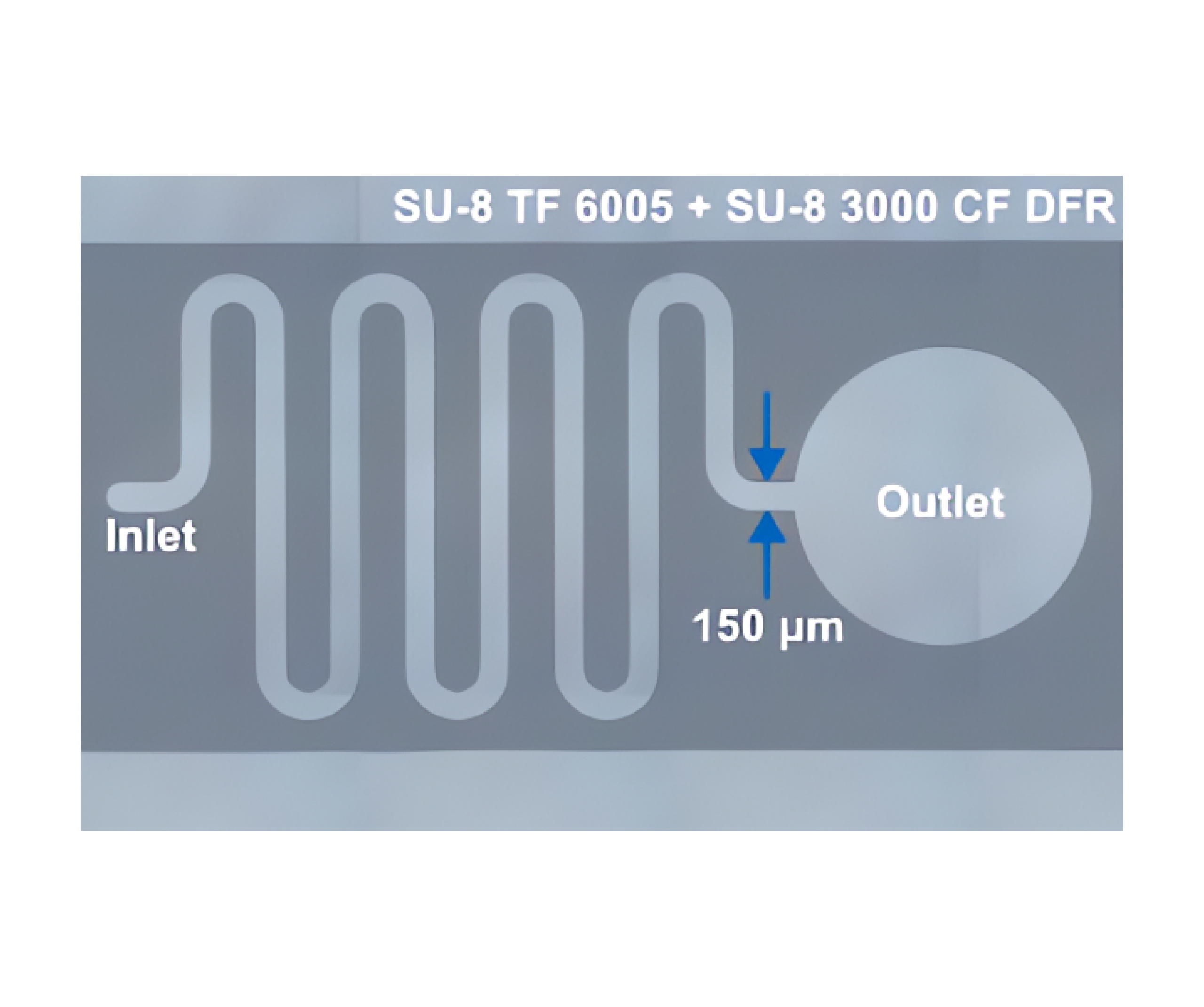 Microfluidic device patterned using liquid SU-8 and SU-8 3045CF dry film resist