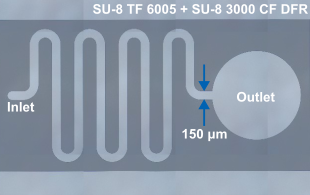 Microfluidic device patterned using liquid SU-8 and SU-8 3045CF dry film resist