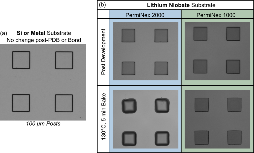 Microscope images comparing PermiNex® 2000 and PermiNex® 1000 patterned features on lithium niobate substrates before and after post-development baking at 130°C for 5 minutes. PermiNex 2000 shows feature reflow, while PermiNex 1000 maintains pattern stability.
