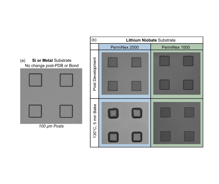 Microscope images comparing PermiNex® 2000 and PermiNex® 1000 patterned features on lithium niobate substrates before and after post-development baking at 130°C for 5 minutes. PermiNex 2000 shows feature reflow, while PermiNex 1000 maintains pattern stability.